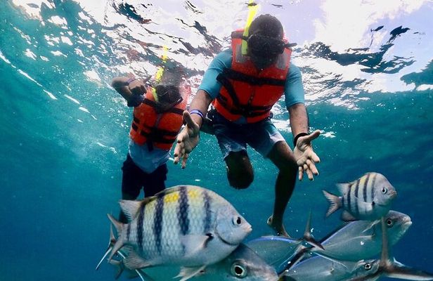 Nature Adventure! Cozumel Clear Boat From Cancun
