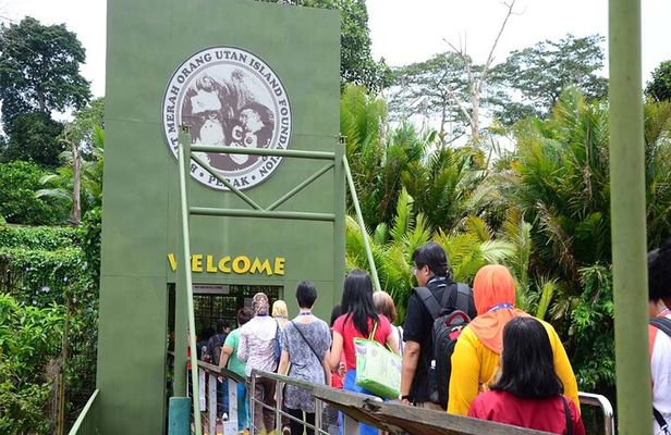 Orang Utan Island Day Tour