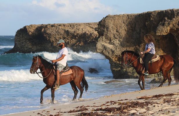 Horseback Riding and Natural Pool Adventure in Aruba
