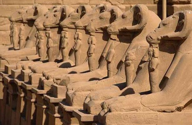 Day Tour To Luxor From Marsa Alam private by car