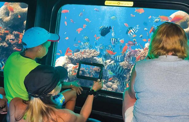 Royal SeaScope Semi Submarine with Transfer - Sharm El Sheikh