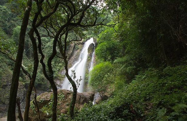 Khaolak Nature & Culture Tour with Lunch