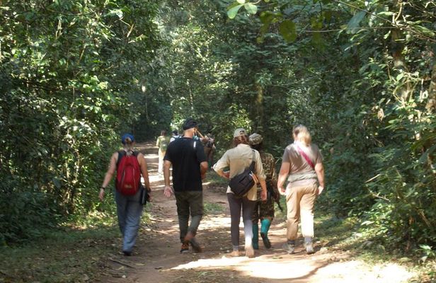 2 Days Gorilla Trekking in Bwindi through Kigali