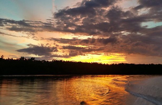 Mangrove Cruise with Fireflies Tour Including Dinner from Sandakan