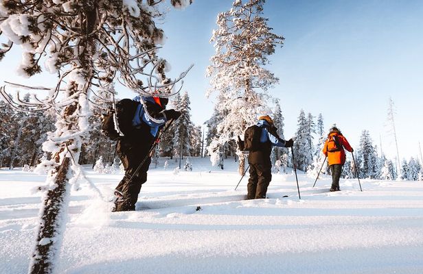 Ski Trekking Safari in Lapland
