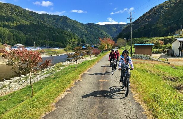 Half Day Private Rural E-Bike Tour in Hida