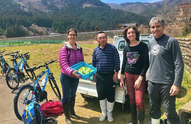 Hida Private E-Bike Tour with Premium Lunch and Farm Experience