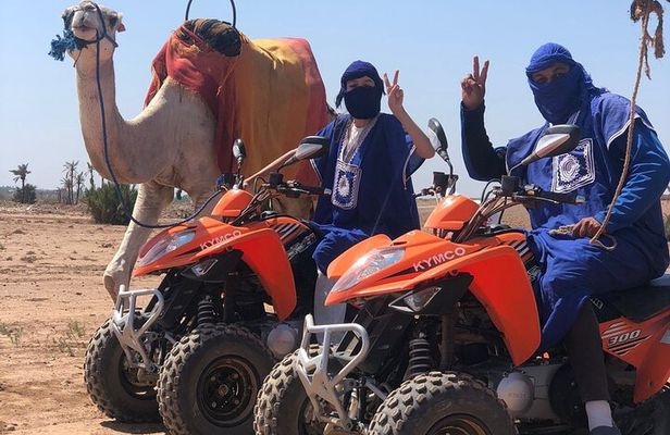 Sensational quad and camel ride in the palm grove