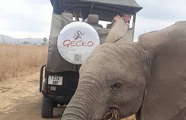 2-Day Selous Game Reserve Tour from Zanzibar