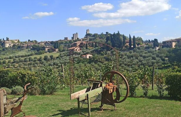 HALF-DAY: Chianti Classic Tour with Wine Experience & visit of San Gimignano