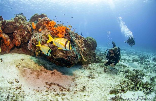 2 Tank Cozumel Reef Boat Dives