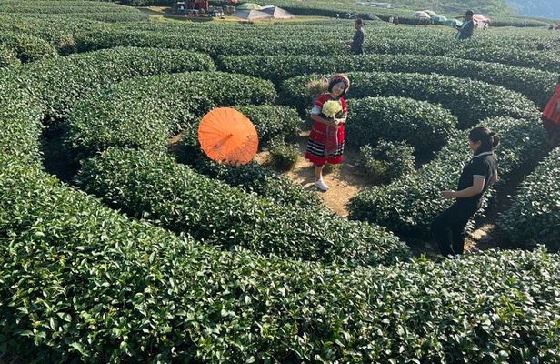 Mai Chau-Moc Chau 4 Day Tour with Glass Bridge -Guinness World Records