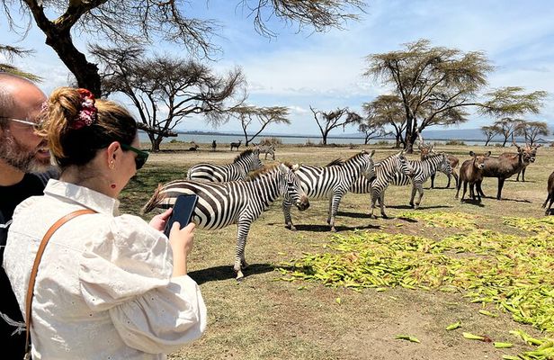 Day Tour to Crescent Island in Naivasha