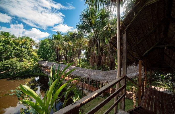 3-Day Pacaya Samiria Amazon Nature Reserve from Iquitos