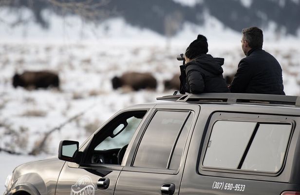Combination Snowshoe & Wildlife Viewing
