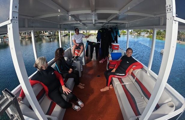 3 Hour Small Group All Inclusive Manatee Swim with free Photo pkg