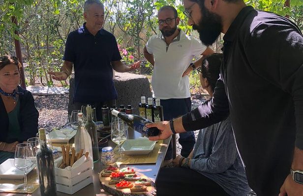 From Syracuse: Trekking on Etna with Wine Tasting & Light Lunch