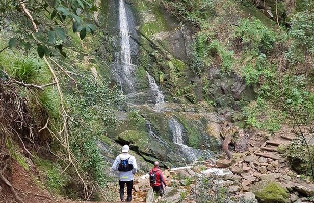Incredible Table Mountain Guided Day Hike or Trail Run