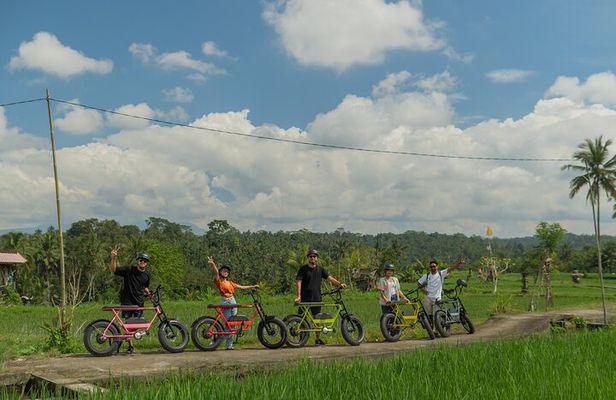 Half-Day Electric Fat Bike Tour of Ubud 