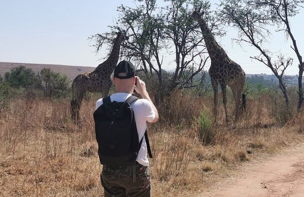 Hiking In the Magaliesberg,Wildlife hike an hour fromJohannesburg