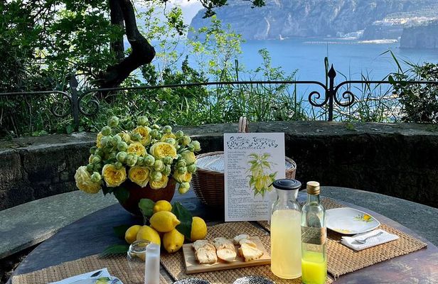 Guided tour of the history and tradition of the Sorrento lemon