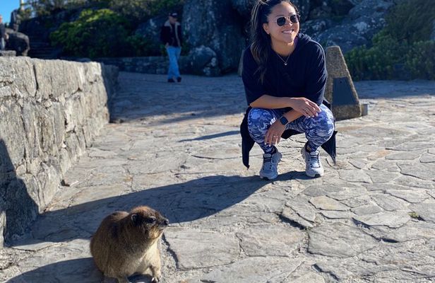 Table Mountain's India Venster Hike + Hotel Pick-Up