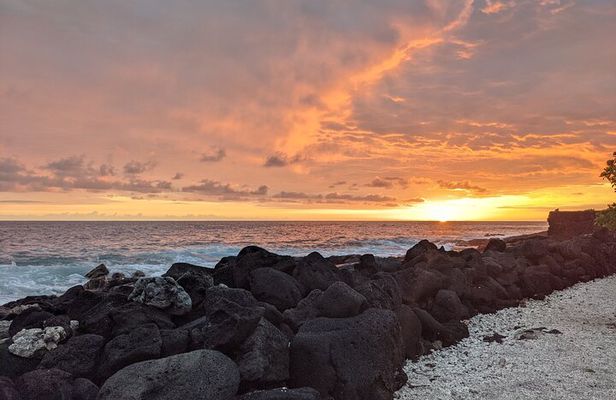 Ali'i Private Tour in Luxury Van