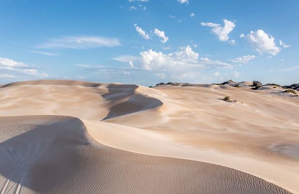 Coffin Bay National Park Half-day 4WD Tour