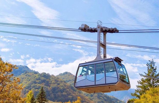 [Private] DMZ & Imjingak Peace Gondola Experience Inter-Korean War
