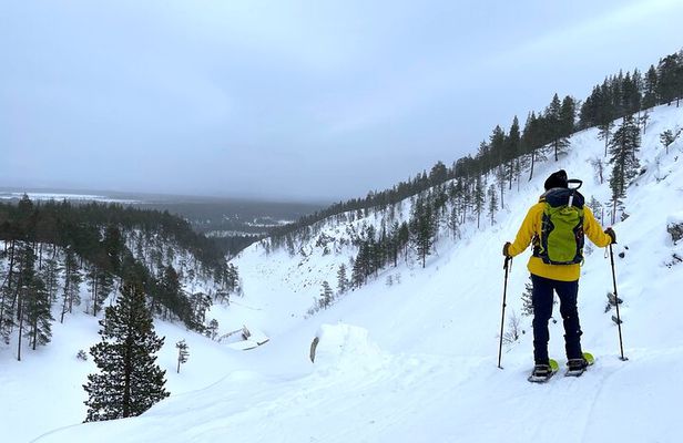 Guided Snowshoeing Tour In Pyhätunturi