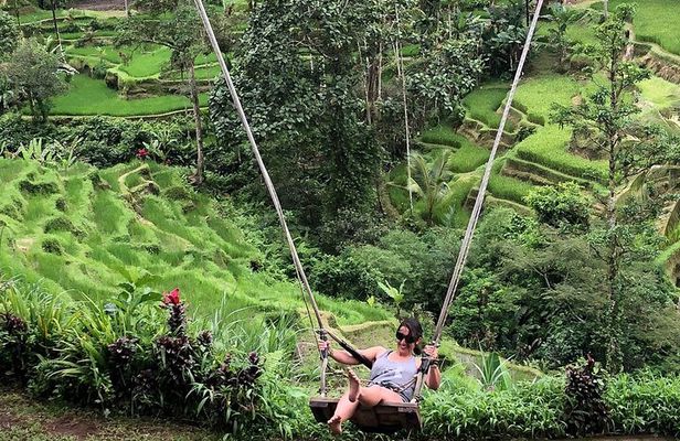 Ubud Rice Terrace Swing Waterfall Private Guided Tour