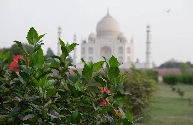 From Delhi : Luxury Taj Mahal Tour By Luxury Car- All Inclusive