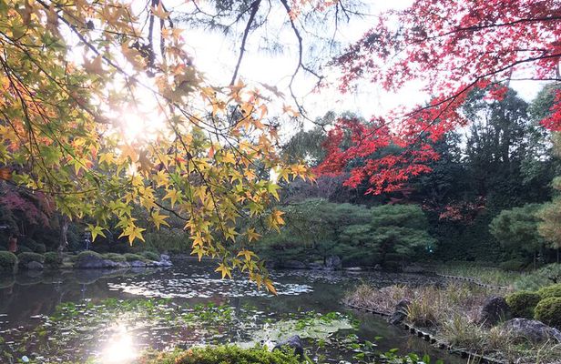 Visit beautiful Zen Gardens on a bike tour!