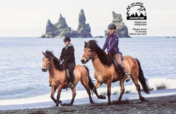 Black Sand Beach Horse Riding Tour from Vik