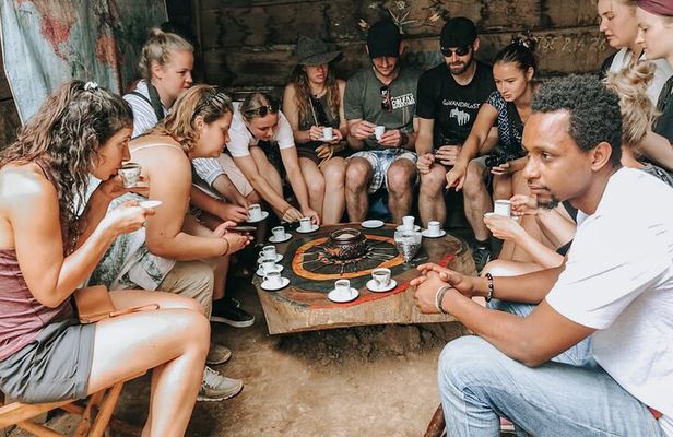 Half-Day Private Tour to Materuni Waterfalls and Coffee excursion