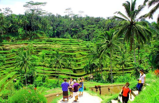 Combo Ubud ATV Quad Bike and Kintamani Volcano Tour All Inclusive