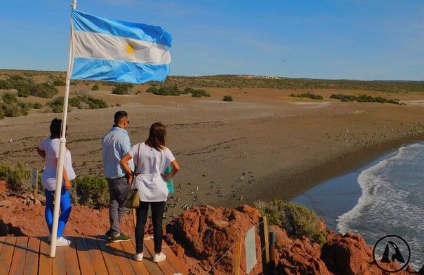 Shore Tours Punta Tombo Cruise Ship Passengers Puerto Madryn
