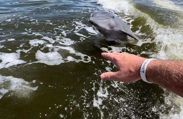 10,000 Islands Boat Tour + Naturalist Led Walk in the Everglades!