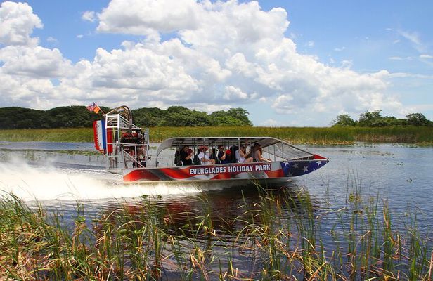 Panoramic Open-Top City Tour and Sightseeing Cruise