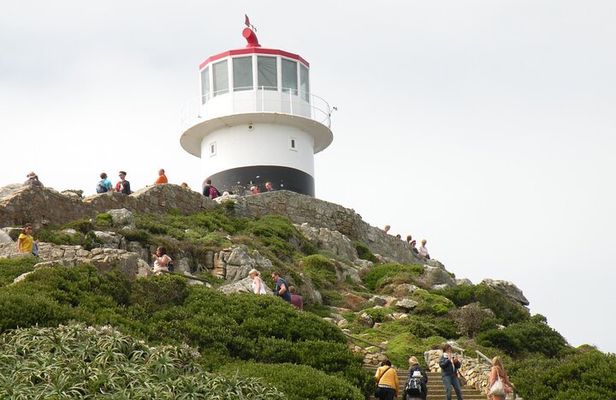 Cape of Good Hope & Penguins Small Group Guided Tour