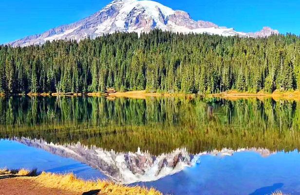 2-Day Mount Rainier & Olympic National Parks Tour from Seattle