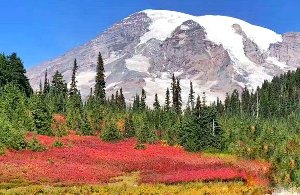Seattle, Mount Rainier National Park 2-Day Tour from Seattle