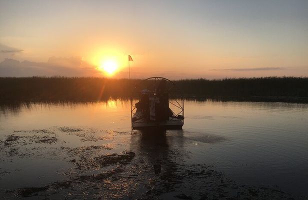Sunset 1.5 Hour Private Airboat Tour of Miami Everglades