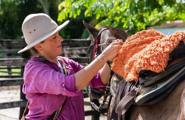 Horse Riding at La Mello Adventure Lodge