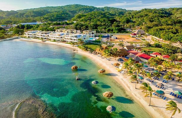 Las Palmas Beach and Roatan Island Brewing Company Private Tour with Guide