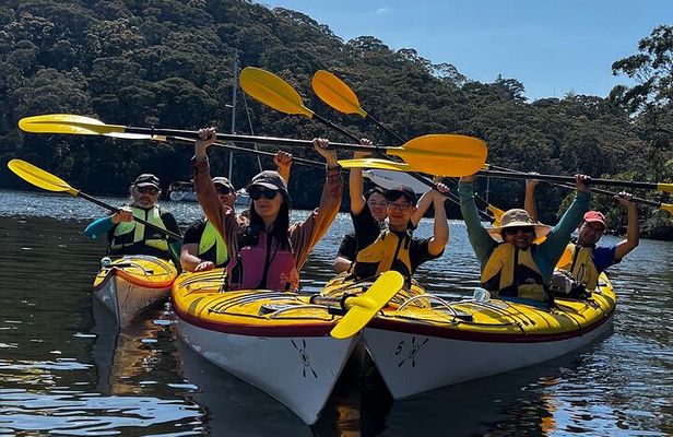 Half-Day Sydney Middle Harbour Guided Kayaking Eco Tour 