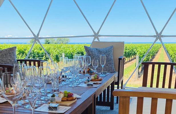 1 Hour Private Vineyard Dome Experience in Niagara-on-the-Lake