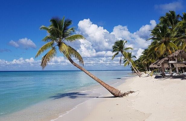 Isla Saona, memorable all-inclusive experience from Punta Cana