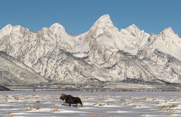 Private All-Day Winter Tour of Grand Teton National Park