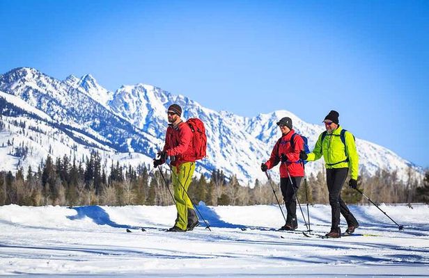 Beginner Cross Country Skiing Experience